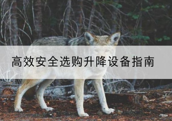 平武升降货梯厂家推荐-*安全选购升降设备指南