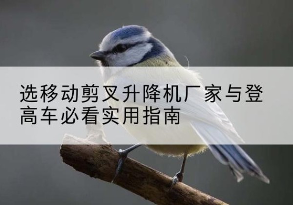 平武电动升降机厂家-选移动剪叉升降机厂家与登高车必看实用指南