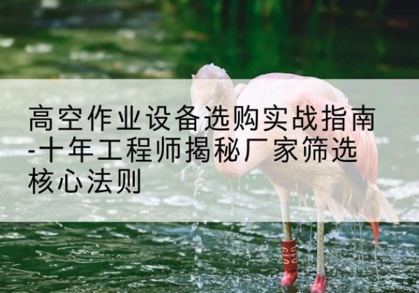 平武剪叉式升降机厂家-高空作业设备选购实战指南-十年工程师揭秘厂家筛选核心法则